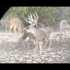 Meet your Posher, Paul